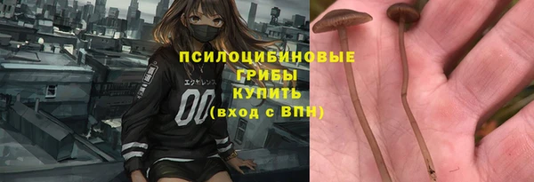 шишки Новокубанск