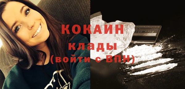 шишки Новокубанск