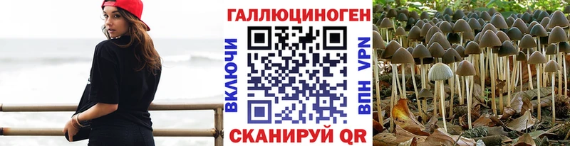 Псилоцибиновые грибы GOLDEN TEACHER  Костерёво 